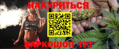крисы Пенза
