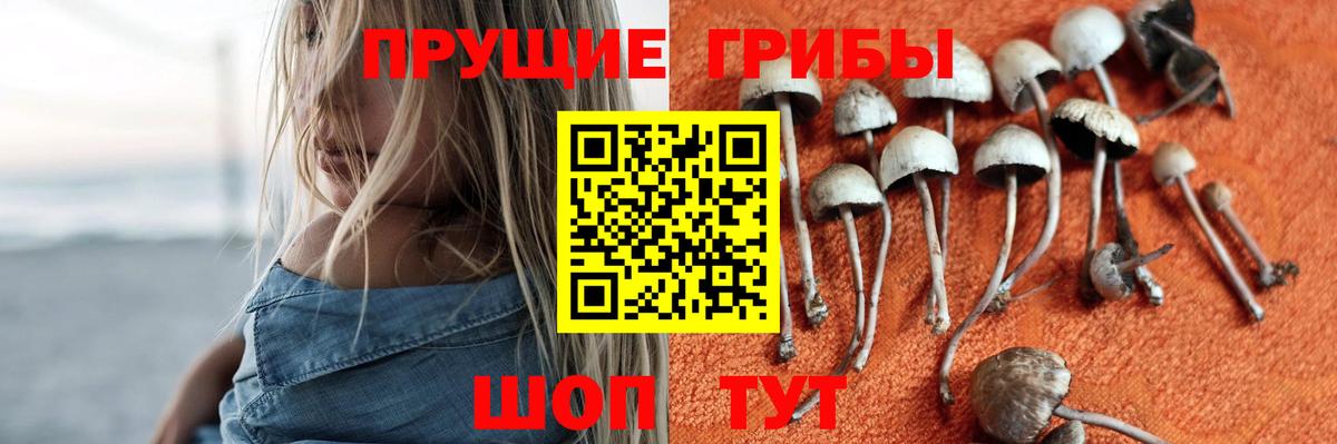 Обь  Псилоцибиновые грибы прущие грибы  Галлюциногенные грибы Psilocybine cubensis  Вход с VPN 